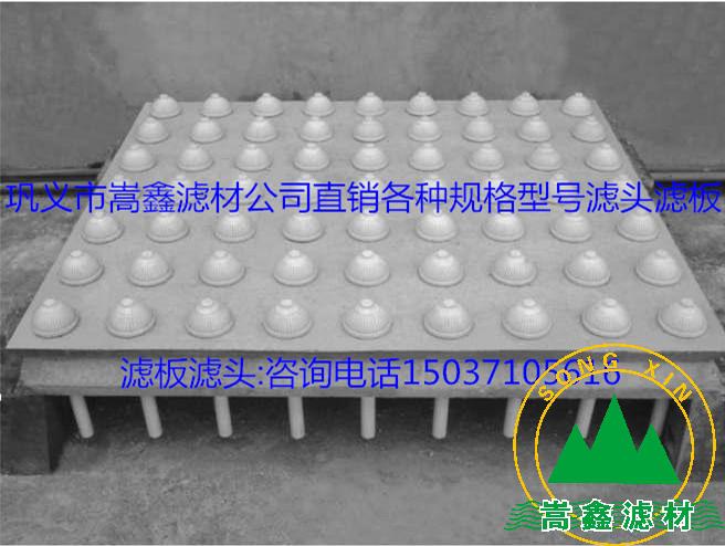 �V�^���V��